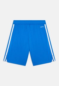 Pantalones cortos deportivos azules confeccionados en una tela ligera y suave. Presentan franjas blancas en los costados y una cómoda cinturilla elástica.