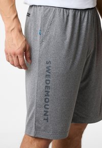 Swedemount VERTICAL - Kurze Sporthose - grey melange
