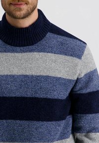 Gebreide trui met een hoge kraag, met afwisselend grijze en blauwe strepen. Gemaakt van zacht, gestructureerd materiaal.