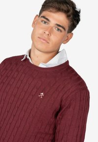 Maglione in maglia borgogna con motivo a trecce, scollo rotondo e logo. Indossato sopra una camicia bianca a righe con colletto.