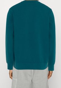 Felpa turchese con scollo arrotondato, maniche lunghe e vestibilità comoda. Tessuto strutturato, polsini e orlo a coste. Vista posteriore mostrata.