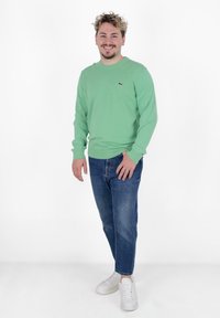 Maglione verde a maniche lunghe con polsi a costine, abbinato a jeans blu e sneakers bianche, con un piccolo logo sul petto del maglione.