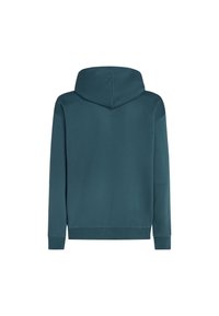 Kapuca majica v temno zeleni barvi. Narejena iz mehkega blaga, ima sproščen kroj, dolge rokave in čisto, brezšivno zasnovo na hrbtu.