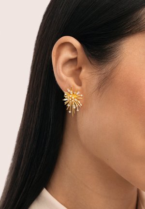 Goudkleurige stervormige oorbel met meerdere kleine heldere kristallen, gedragen aan het linkeroor van een persoon met lang zwart haar.
