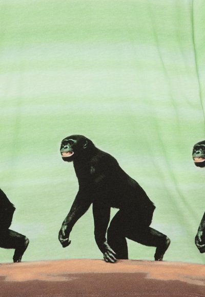 Tre svarte sjimpanser som går på en brun overflate mot en lysegrønn bakgrunn, vendt mot venstre med munnen lett åpen.