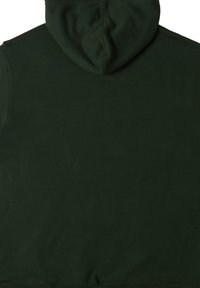 DC Shoes STAR PH - Jersey con capucha - gzh0 mountain view