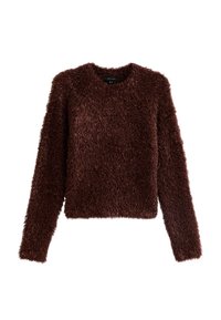 Maglione marrone, morbido e peloso, con maniche lunghe, collo rotondo e vestibilità comoda. La texture è morbida e pelosa, evidenziando il suo aspetto caldo.
