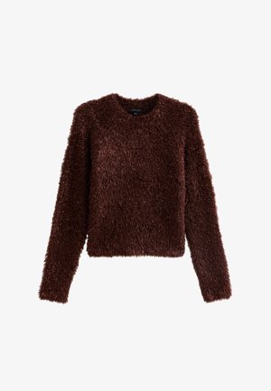 Maglione marrone, morbido e peloso, con maniche lunghe, collo rotondo e vestibilità comoda. La texture è morbida e pelosa, evidenziando il suo aspetto caldo.