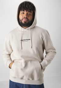 Jack & Jones JORVESTERBRO HOOD - Mikina s kapucí - moonbeam