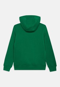 Sweatshirt verde com capuz em cor sólida, feito de tecido macio, apresentando um bolso frontal e punhos canelados. Textura suave, design casual.