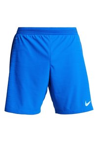 Pantalones cortos deportivos azules de tela ligera. Cuentan con una cinturilla elástica, detalles de malla y un pequeño logotipo blanco en el lado inferior izquierdo.