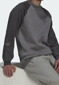 adidas Originals Mikina - grey