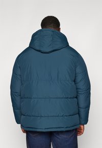 Jack & Jones JJWORLD PUFFER JACKET  - Χειμωνιάτικο μπουφάν - magical forest