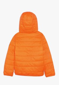 Abercrombie & Fitch Talvitakki - orange