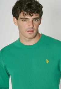 Maglione verde a maglia con scollo rotondo e polsini a coste, caratterizzato da un logo ricamato giallo sul petto sinistro. Texture liscia.