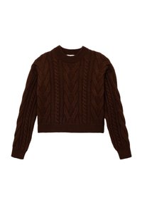 Pull en tricot marron avec un col rond et des manches longues ; design court avec des motifs texturés sur l'ensemble.