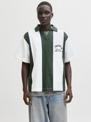 Junge Person, die ein grün-weiß gestreiftes Poloshirt mit Text auf der Brust und hellblaue Jeans trägt, steht vor einem einfarbigen Hintergrund.