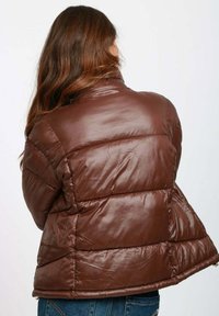 Giacca a vento marrone con una texture lucida e trapuntata e un colletto alto. Presenta cuciture orizzontali e una vestibilità comoda. Vista dal retro visibile.