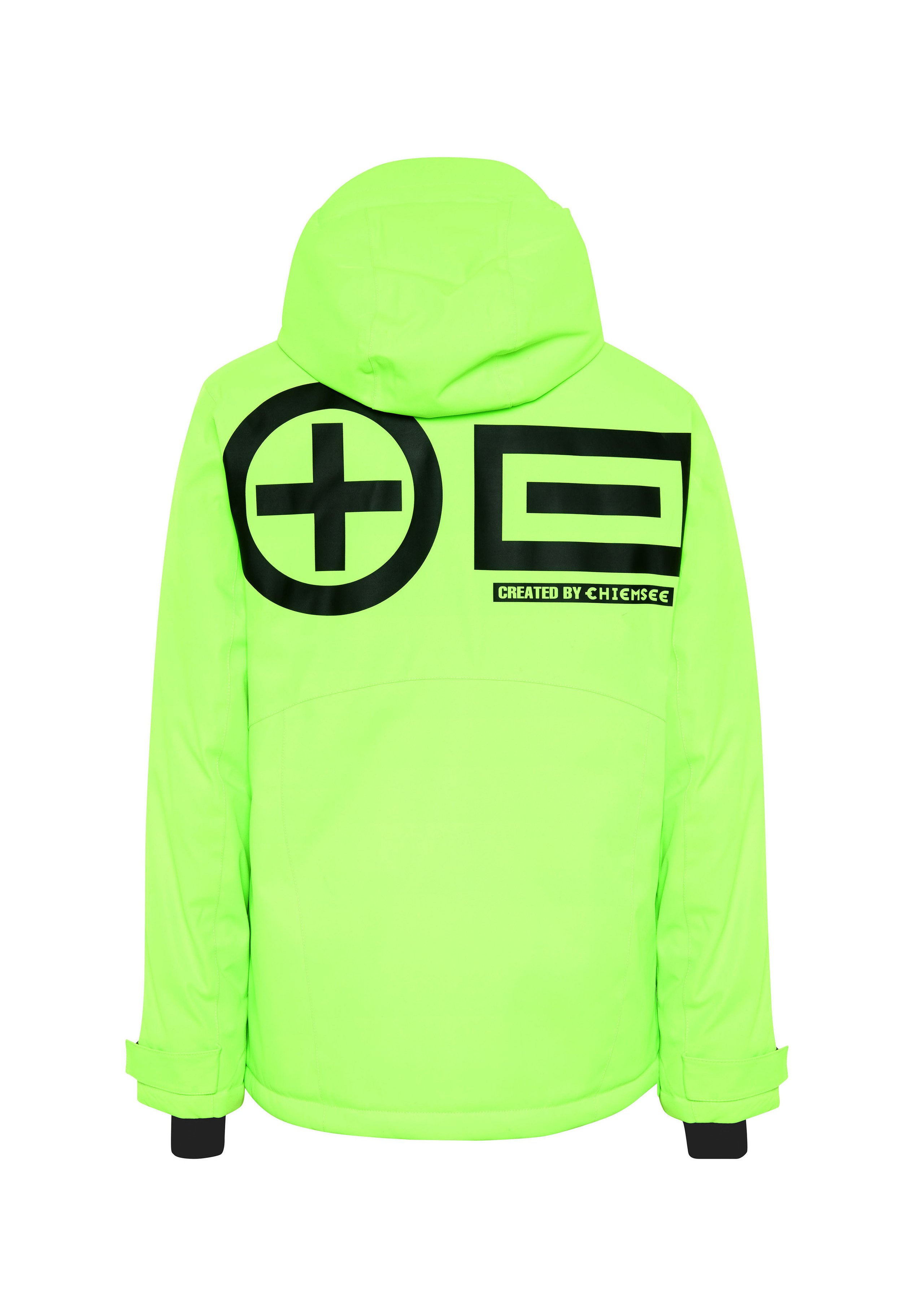 Chiemsee MIT BACKPRINT - Snowboard jacket - green gecko/green