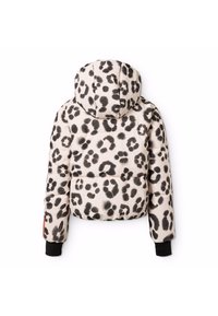 Molo HANSINE SKIWEAR JACKET - Žieminė striukė - beige