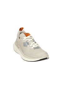 ECCO BIOM 2.2 M - Sneakers basse - gravel gravel terracotta