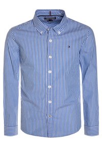 Blauw-wit verticaal gestreept button-up shirt met een puntkraag, lange mouwen en een klein logo op de linkerkant van de borst.