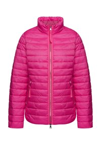 Getailleerde roze gewatteerde jas met een hoge kraag, horizontale stiksels, rits aan de voorkant en zijzakken. Glad materiaal met een lichte glans.