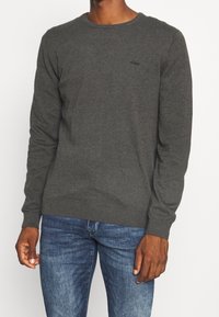 Pull gris à col rond en tissu doux, avec des manches longues et des poignets côtelés, porté avec un jean en denim bleu. Logo discret sur la poitrine.