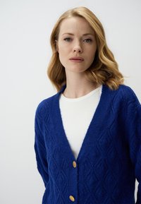 Cardigan blu lavorato a maglia con un motivo a diamante, scollatura a V profonda e tre bottoni dorati. Tessuto morbido, con maniche lunghe e vestibilità rilassata.