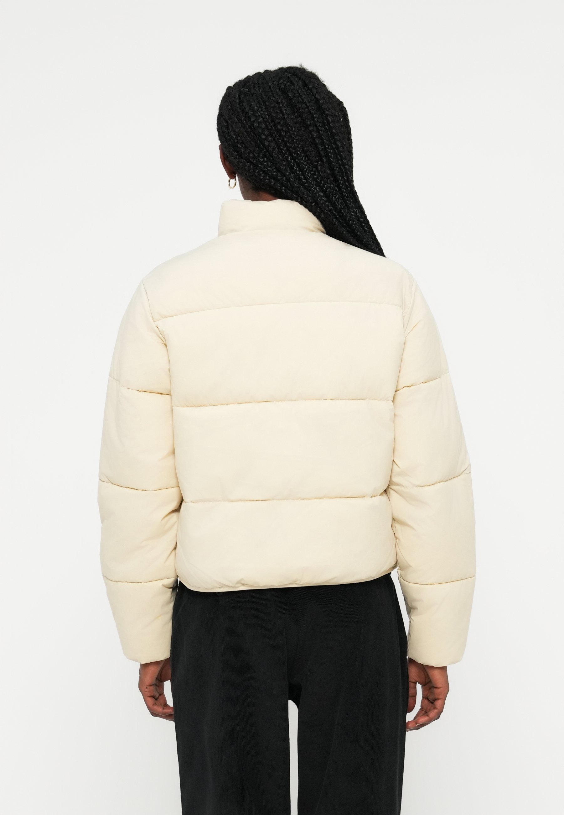 Dickies SUMMERDALE - Winter jacket - wood ash/beige - Zalando.co.uk