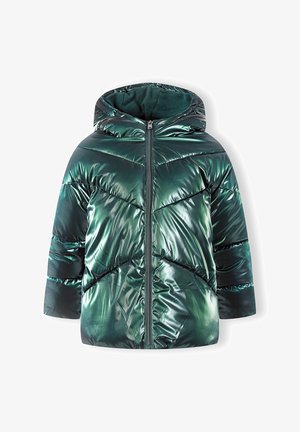 Veste rembourrée verte avec une texture métallique brillante. Dotée d'une capuche, d'une fermeture éclair frontale et d'un motif de surpiqûre en chevrons. Design chaud et isolé.
