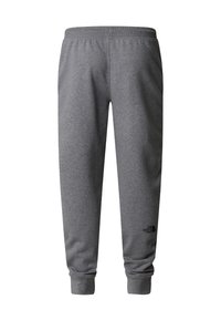 The North Face DREW PEAK - Træningsbukser - tnf medium grey heather