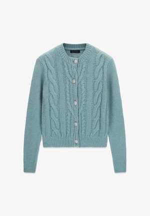 Cardigan bleu clair tricoté avec des motifs torsadés, col rond, manches longues et cinq boutons décoratifs argentés sur le devant.