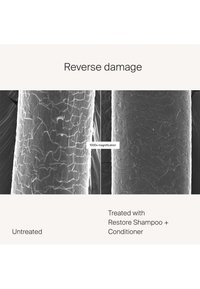 Thumbnail Image 10