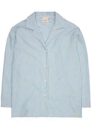 Camicia button-up a righe blu chiaro e bianco, con maniche lunghe, colletto a punta e cinque bottoni frontali. Tessuto morbido.