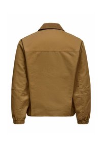 Braun jakna z dolgimi rokavi z elastičnimi manšetami in žametnim ovratnikom, prikazana s hrbtne strani na beli podlagi.