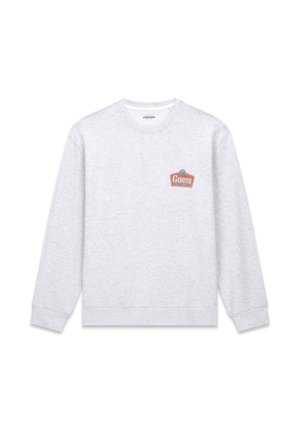 Felpa grigia con maniche lunghe, polsini e orlo a coste. Presenta un piccolo logo rosso e grigio sul petto. Materiale in misto cotone.