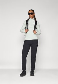 Adidas Terrex ESSENTIALS HALF ZIP  - Fliisdžemper - linen green