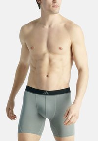 Grijze sportieve boxershorts van een gladde, rekbare stof, met een zwarte elastische tailleband waarop een logo staat, ontworpen voor comfort.