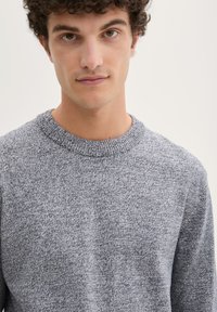 TOM TAILOR DENIM BASIC CREWNECK  - Džemperis - navy white mouline