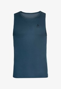 Unausgewählt, blue wing teal