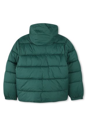 Veste en duvet verte avec une capuche, présentant un design matelassé et des poignets élastiques. Fabriquée à partir d'un matériau lisse et léger.
