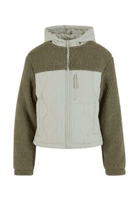 CRINKLE - Winter jacket - palegreen stonegreen