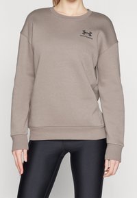 Světle hnědá mikina s dlouhým rukávem vyrobená z měkké látky s kulatým výstřihem. Na horní levé části hrudi je černé logo Under Armour.