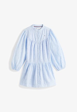 Rochie brodată bleu deschis cu mâneci lungi bufante, închidere cu nasturi, talie adunată și model floral pe întreaga suprafață.