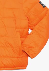 Abercrombie & Fitch Talvitakki - orange