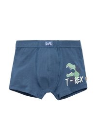Boxers de algodón azul con un gráfico de T-Rex, acentuado por la palabra "ROAR" en blanco. Textura suave con detalles cosidos.