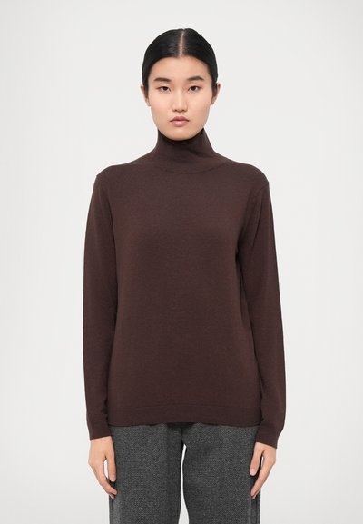 Pull en col roulé marron en tissu doux, avec une coupe décontractée et des manches longues. Design simple et sans couture, sans ornements.