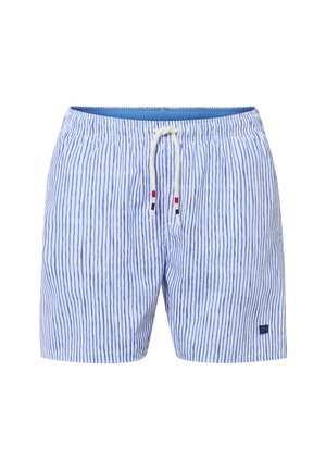 Blue and white vertical striped swim shorts with an elastic waistband and white drawstring with red and black accents.