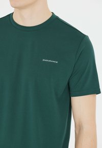 Endurance VERNON S/S - Tekninen t-paita - sea moss